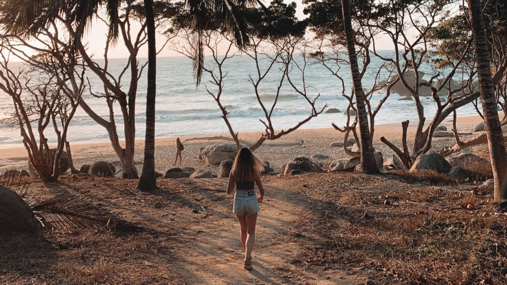 Is Digital Nomad Works Legit